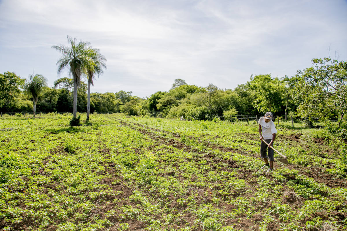 Programa AgroAmigo oferece R$ 1 bilhão em microcrédito