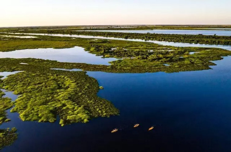 Deputados aprovam em primeira votação Projeto da Lei do Pantanal