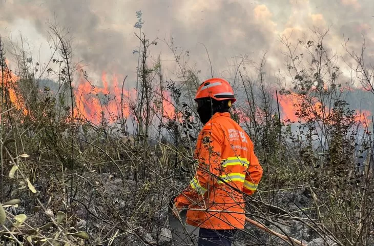 Proprietário de fazenda abandonada é multada em R$ 19 milhões por incêndio no Pantanal