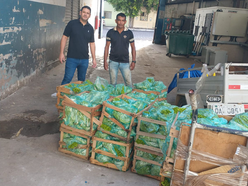 Agricultores familiares repassam produção para mercado atacadista de Corumbá