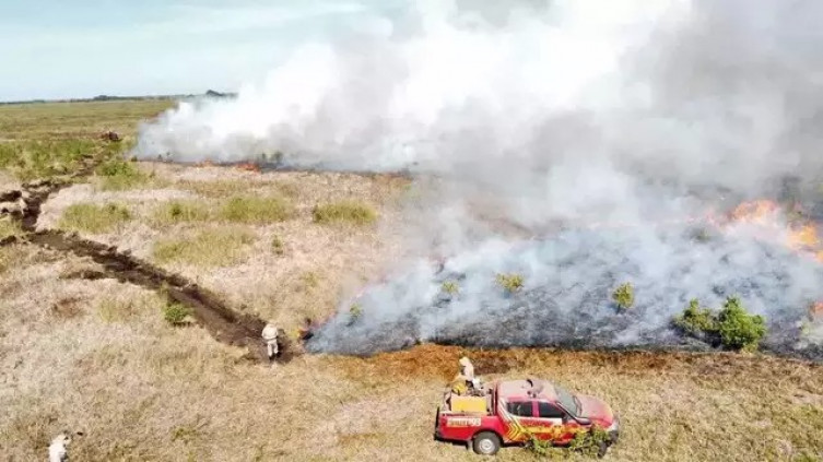 Levantamento aponta que Pantanal teve 17% da área total queimada em 2024