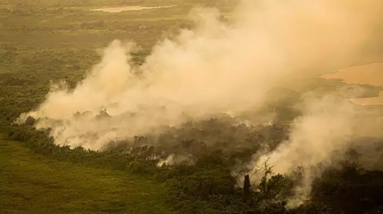 União cobra R$ 725 milhões de três infratores por fogo em 6 mil hectares no Pantanal