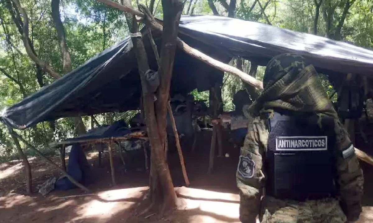 Operação no Paraguai destrói cinco toneladas de maconha em acampamento na fronteira