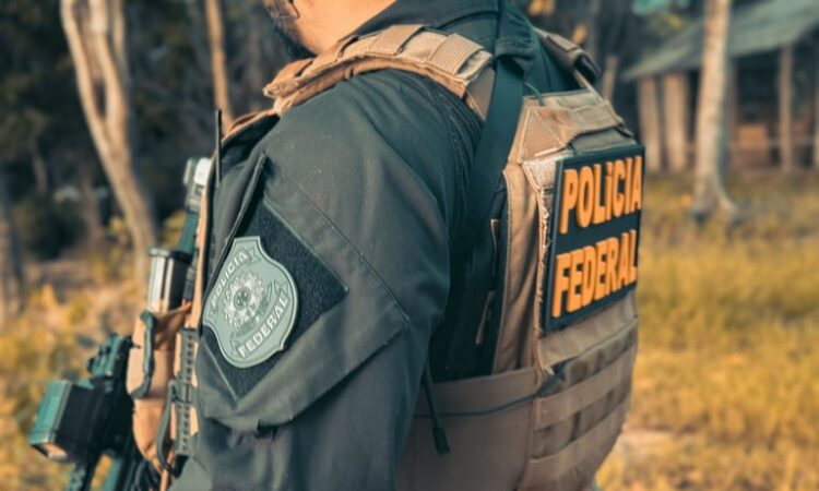 PF combate grilagem de terras da União e fraudes ambientais no Pantanal