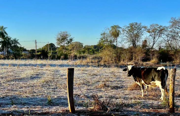 Corumbá registrou maior frio entre as cidades de MS com 4°C  na madrugada e sensação térmica de -7°C no Pantanal