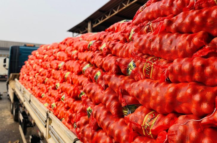 Aumento na oferta barateia cebola e pimentão verde, mas frio eleva preço das frutas