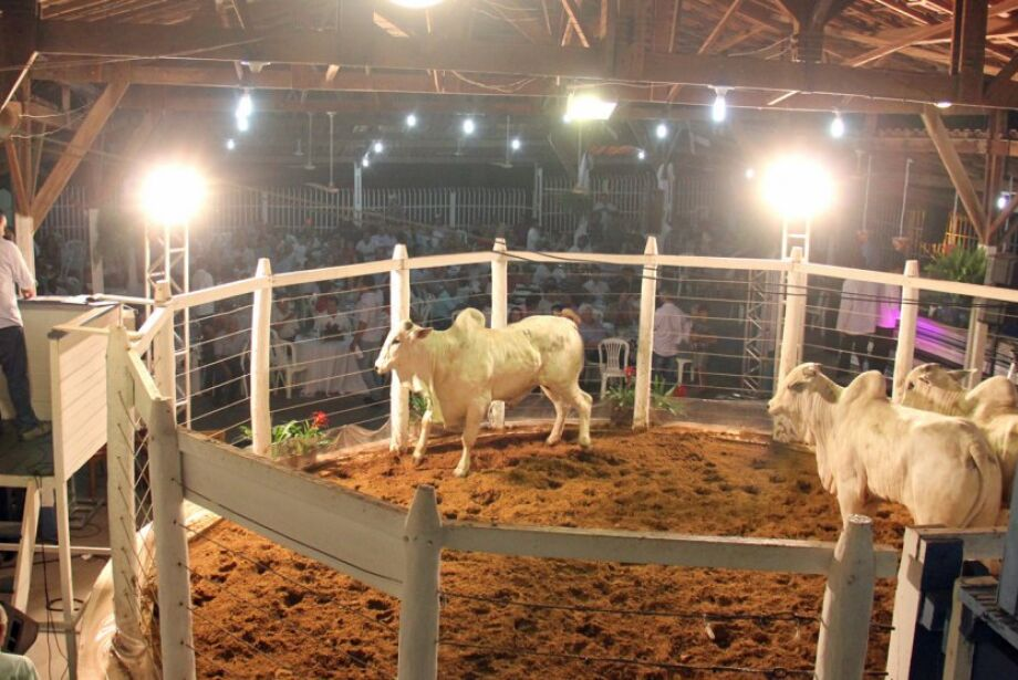 Feira Internacional Agropecuária e Cultural do Pantanal (Feapan)  vai acontecer de  9 a 12 de outubro