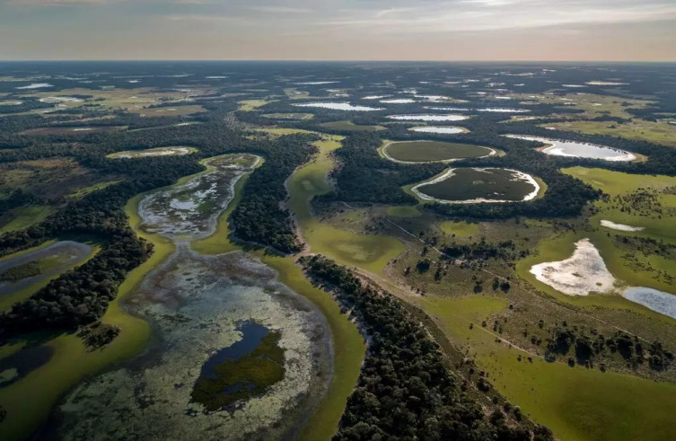 Estatuto do Pantanal é sancionado com diretrizes para conservação do bioma
