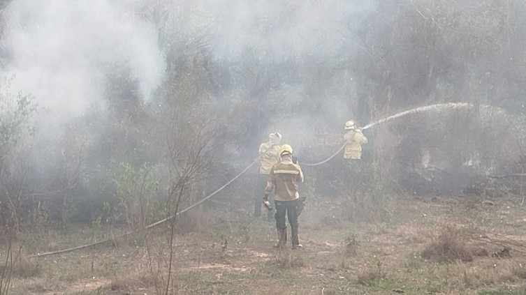 Mesmo controlado, fogo no Pantanal de Corumbá ainda pode retornar
