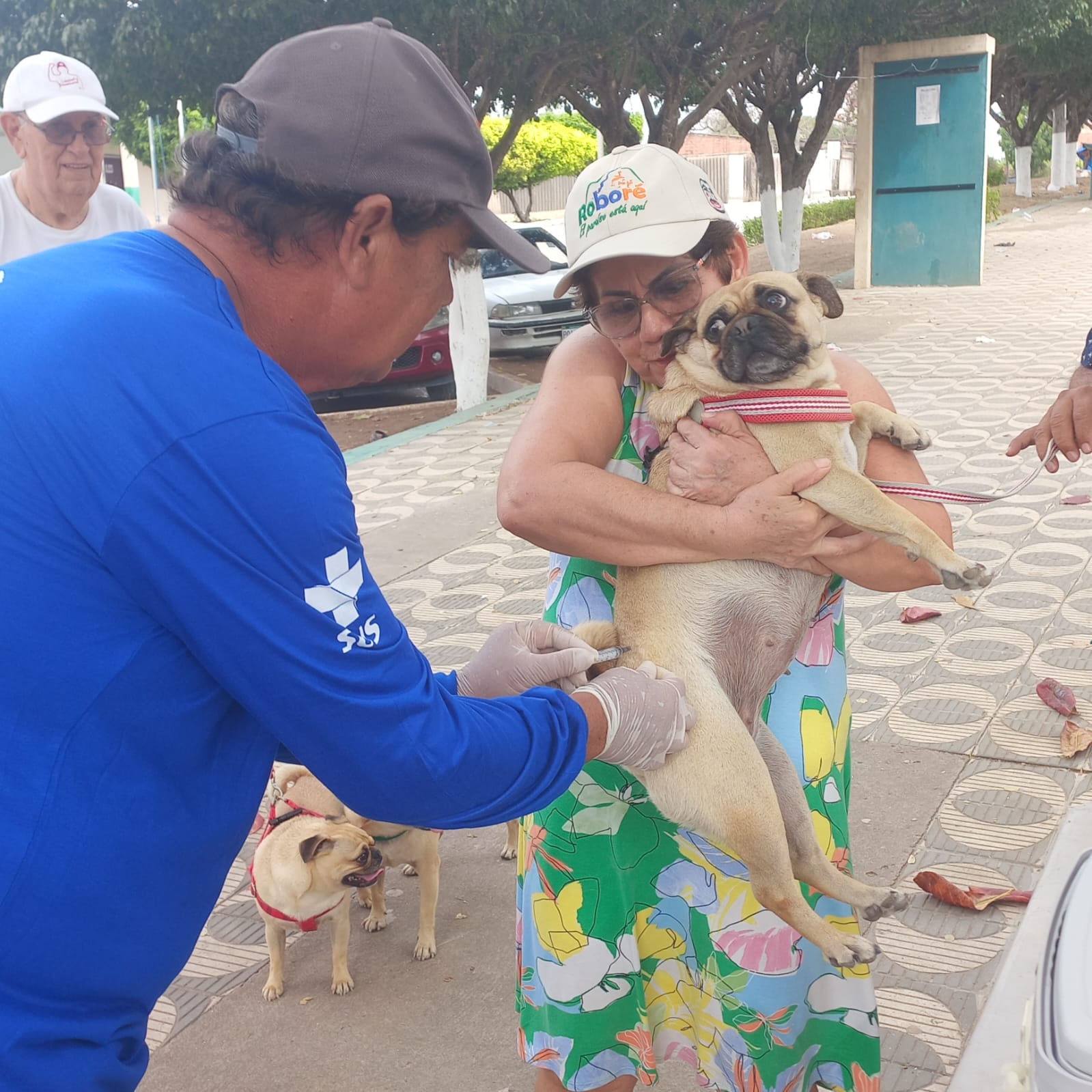 Vacinação antirrábica vai acontecer em oito pontos fixos no próximo sábado (15/11)