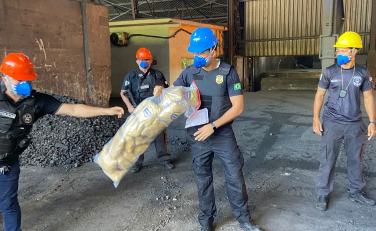 Polícia Civil de Ladário incinera mais de 325 kg de cocaína, pasta base e maconha
