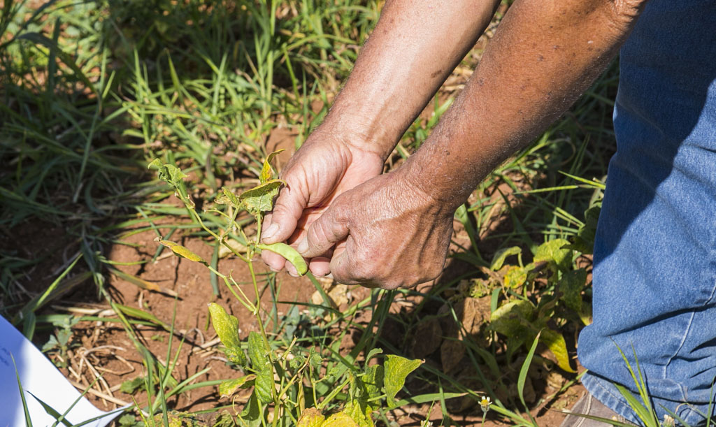 Agricultores familiares da região de Porto Morrinho terão atendimento de microcrédito no dia 22